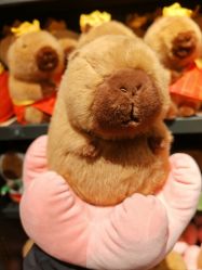 -酷乐潮玩(七宝领展广场店)