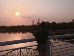 -九里河湿地公园
