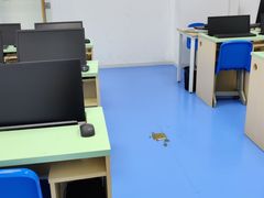 -童程童美·信息学竞赛·乐高机器人编程(长宁来福士校区)
