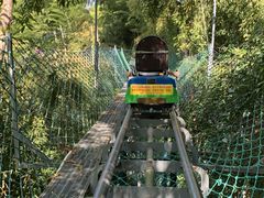 -藏龙百瀑风景区