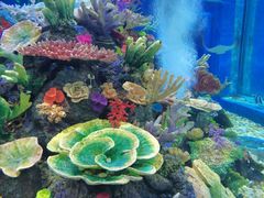 -成都浩海立方海洋公园