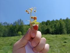 -布苏里北疆军事文化旅游区