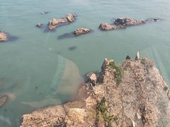 -摩天岭风景区