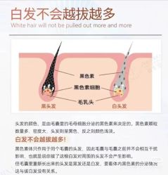 -Bollins波林丝•专研护发中心