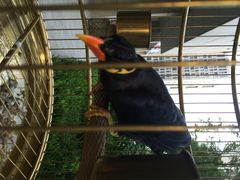 那家小馆(中关村店)-那家小馆•北京菜•烤鸭(中关村店)