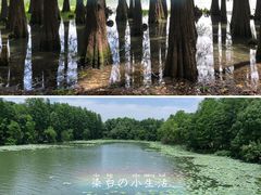 -东湖落雁景区
