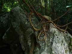 -杭州西湖风景名胜区-三生石
