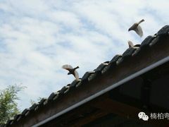 android_upload_pic-楠柏弯休闲山庄(梨花溪店)