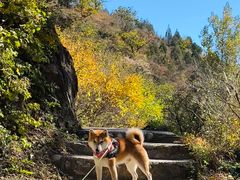 -蟠龙山长城景区