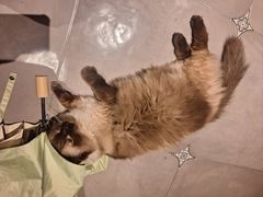 -Estaeslavida分享茄雪茄吧(亿彩购物中心店)