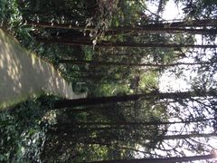 窦团山-窦圌山风景区