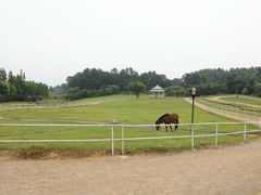 -保利石象湖景区