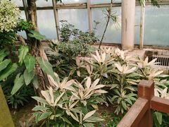 -石家庄市植物园