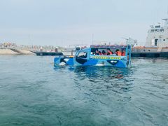 -泰达航母主题公园