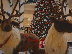 -Salon de Ville浦江汇(上海外滩华尔道夫酒店店)