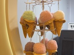 -野人先生现做冰淇淋(北京顺义祥云小镇店)