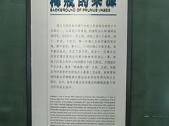 -桂林博物馆