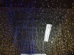 -Mr.Fox狐狸先生超级密室(南山店)