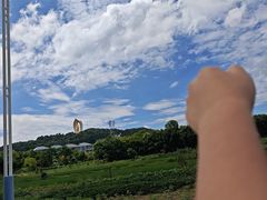 -庐山风景名胜区-东林大佛