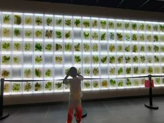 -广东中医药博物馆