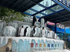 -重庆欢乐海底世界