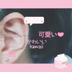 -花师傅
