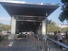 -深圳湾公园(南山区)