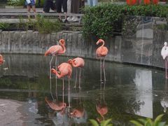 -常州淹城野生动物世界