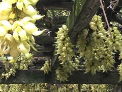 -华南国家植物园-售票处