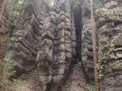 -梭布垭石林景区