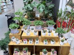 -厦门大西洋天虹百货商场