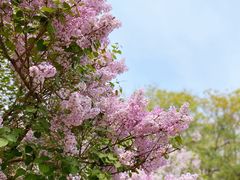 -朝阳公园