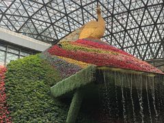 -花之城