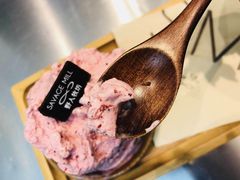 -野人先生现做冰淇淋(北京环宇荟店)