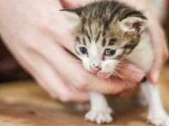 -五月木作·DIY木作文创体验店(北京路店)