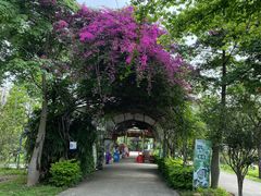 -广东花都香草世界旅游度假区