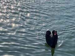-朝阳公园