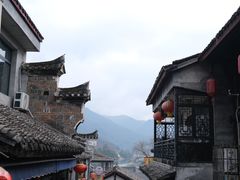 -后柳水乡