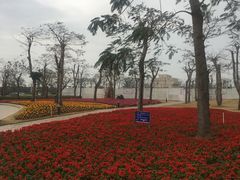 -芒洲湿地公园
