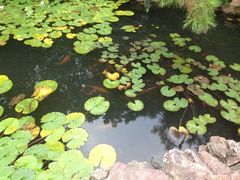 iphone_upload_pic-上海虹桥迎宾馆