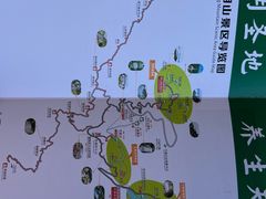-江西阳明山国家森林公园