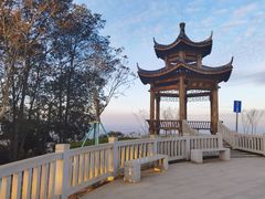 -黄埔油麻山森林公园