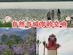 -西昌邛海湿地