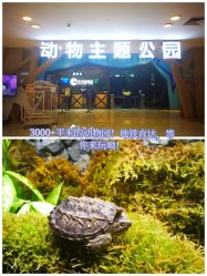 -未来动物城动物主题公园(大悦城店)