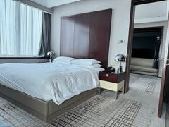 -上海龙之梦万丽酒店