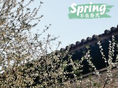 -五道营胡同