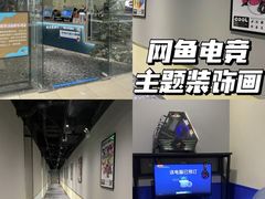-网鱼电竞(广州百脑汇店)
