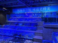 -青蓬蒸汽海鲜·深圳老字号·团建聚会(壹方城店)