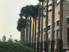 -金莲花广场