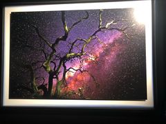 -罗红摄影艺术馆